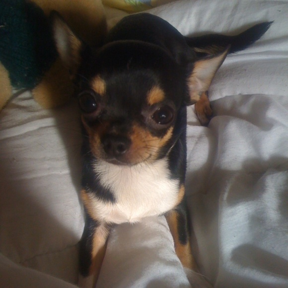 Meet your Posher, Mimz - Picture 2 of 2